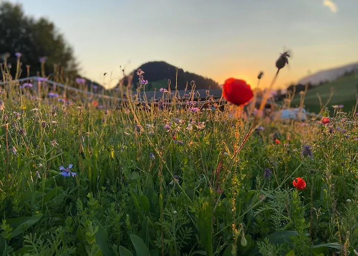 Haus Chorblick
