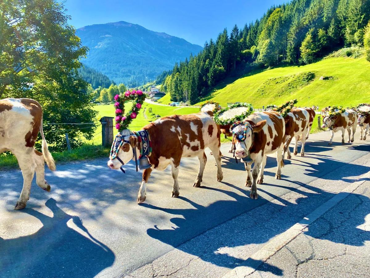 Apartment Haus Chorblick Westendorf